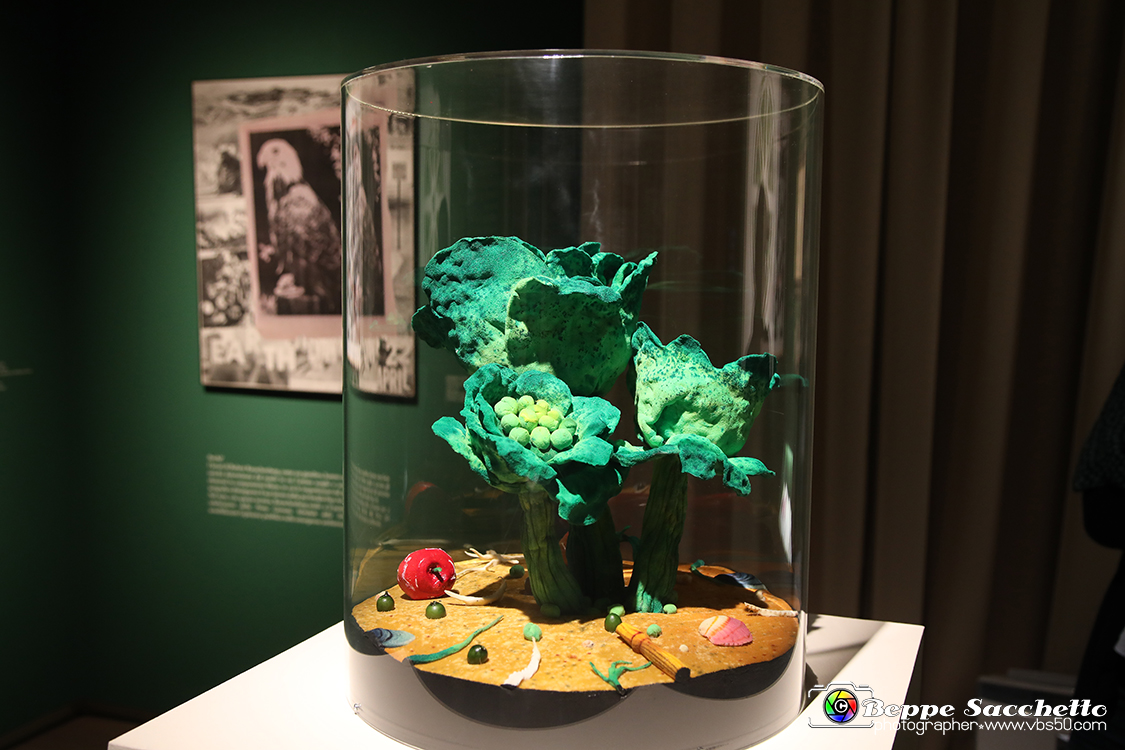 VBS_1410 - Castello di Miradolo - Mostra Oltre il giardino l'Abbecedario di paolo Pejrone.jpg